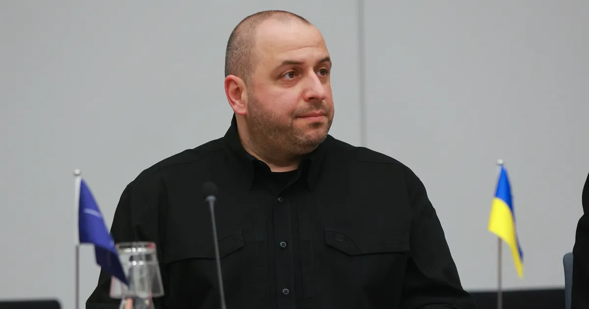 Kallas ja Umerov arutasid ühiseid kaitseprojekte, rahvusvahelise abi koordineerimist