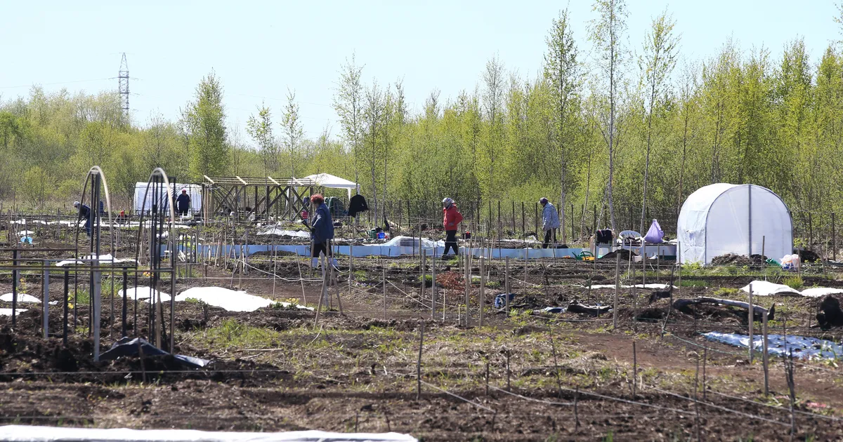 Hooletu aiajäätmete põletamine toob kaasa trahvi
