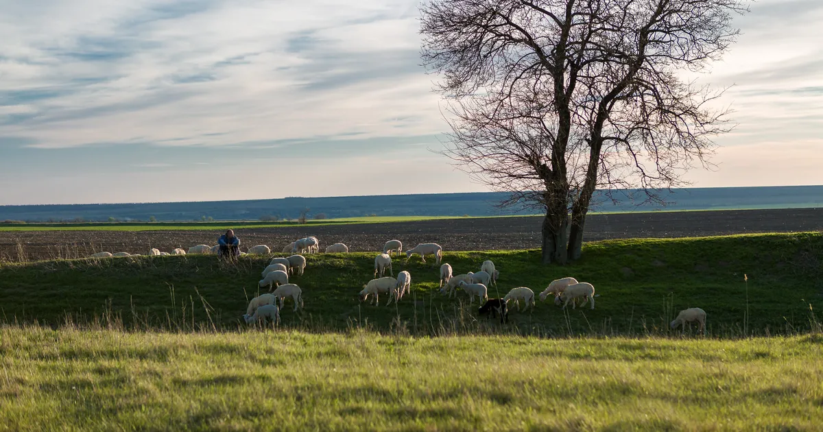 JÄRJEJUTT ⟩ Tõeline maiuspala lugejale, keda huvitab maaelu, keskkond ja põllumajanduse tulevik