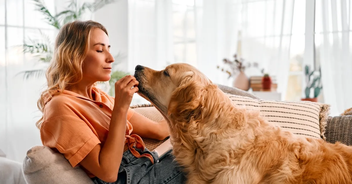 Enamik koeraomanikke teeb just selle vea, kui nende lemmik on hästi käitunud