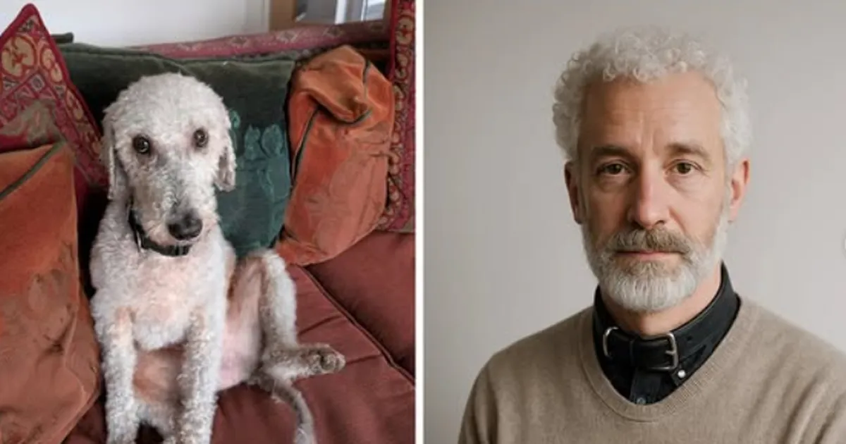 UUS HITT-TREND ⟩ Vaata, millisena näeks su lemmikloom välja, kui ta oleks inimene