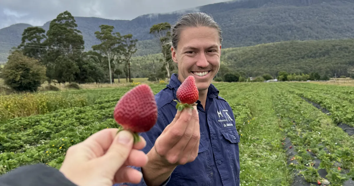 Austraaliasse suure farmi loonud Johannes: pean tunnistama, et ma ei igatse Eestit