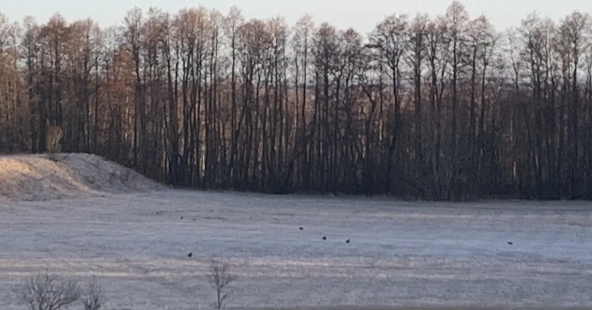LOODUSKALENDER ⟩ Täiskuu tõi ilmamuutuse ja kevadsoojuse