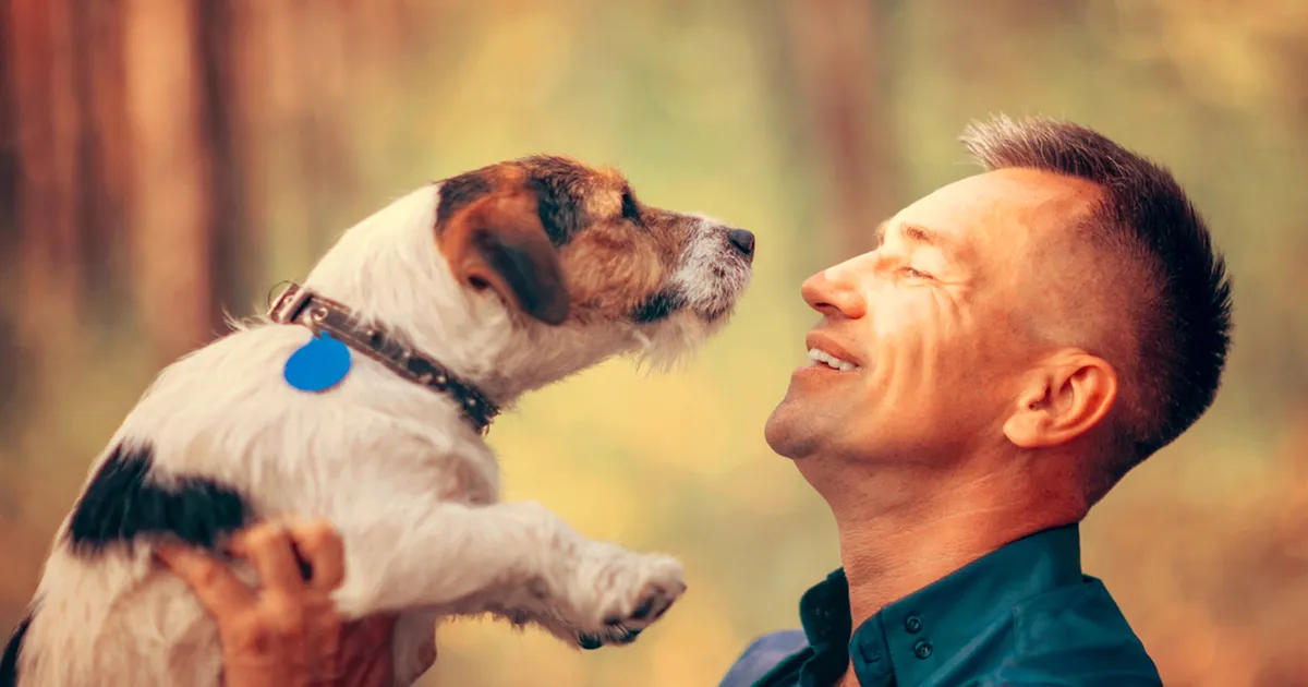 Normaalne mees on nagu ükssarvik, aga soojem. Kus ta end peidab?