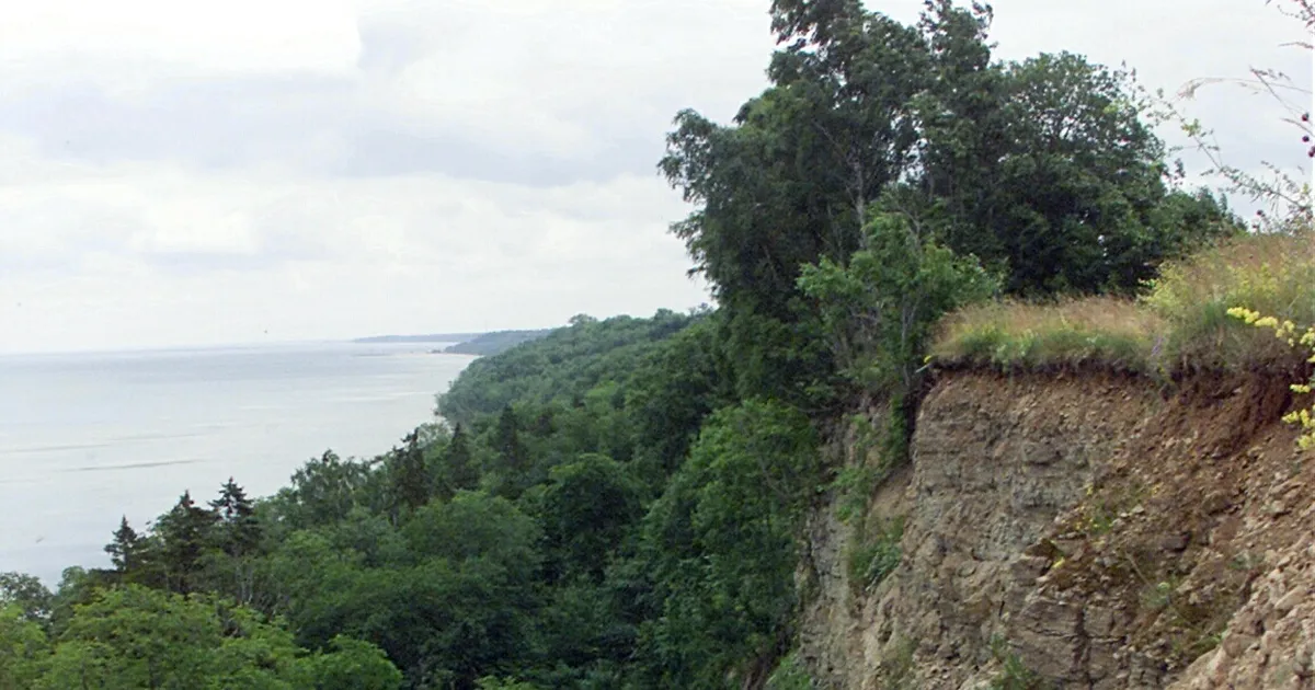 Kohus jättis ohvrid Ontika paekaldalt alla visanud eluaegse vangi vabastamata