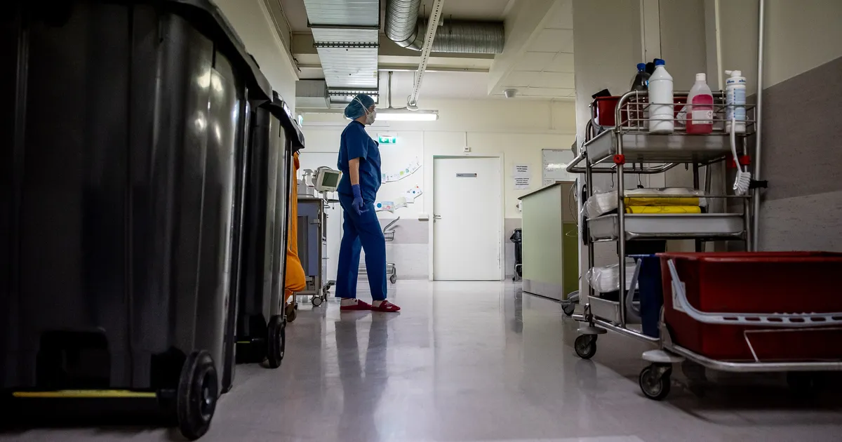 Eesti Pank: naistel tasub kõrgharidus palgas rohkem ära