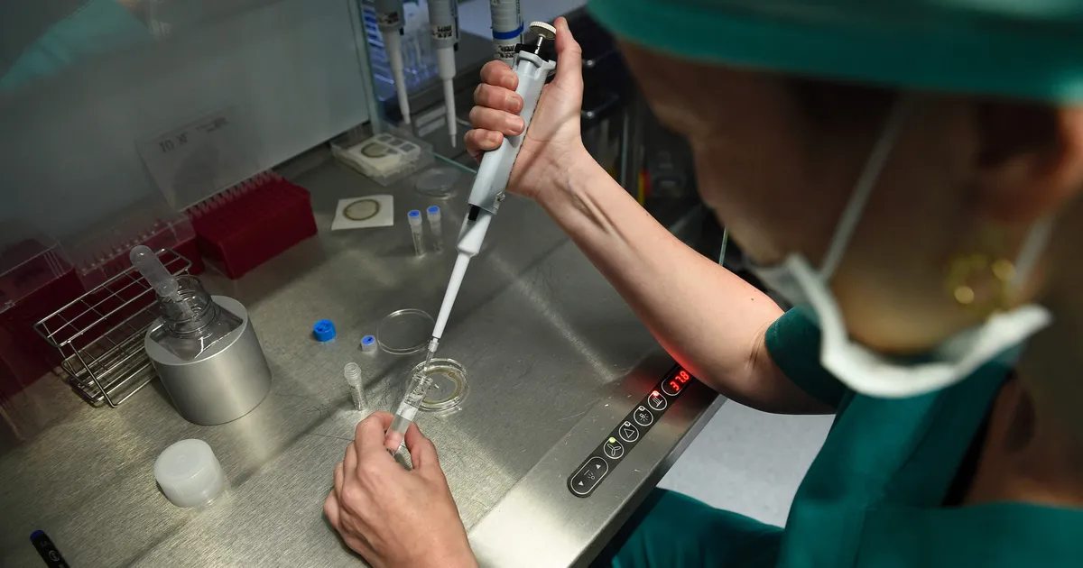 Holland lubas aastakümneid spermadoonoritel saada sadu järglasi