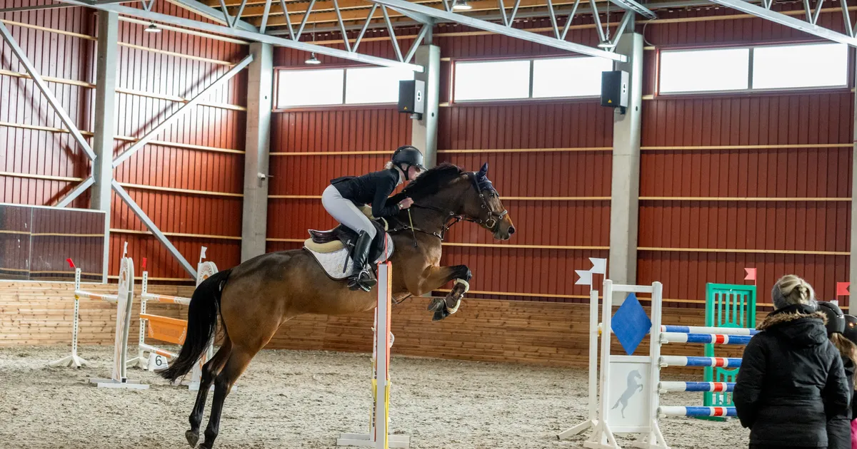 Harjumaal tuvastati hobustel ohtlik herpesviirus