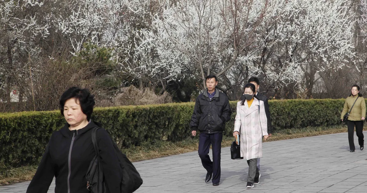 ÜKSIKUD HARULDASED KAADRID ⟩ Heida pilk Põhja-Korea pealinna viiendale küpsisefestivalile