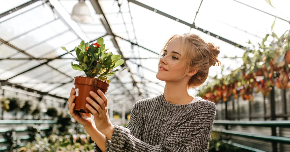 ISTUTA JUBA TÄNA ⟩ Need suurepärased taimed hoiavad umbrohu peenrast kaugel