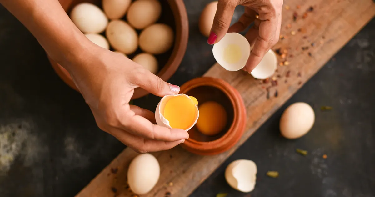 MUNAKOORED VÄETISEKS ⟩ 3 nutikat viisi taimede tervise parandamiseks