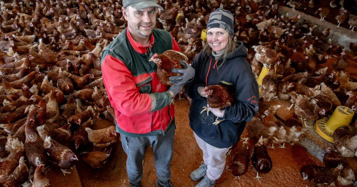 Munamasinad töötavad nüüd aasta läbi