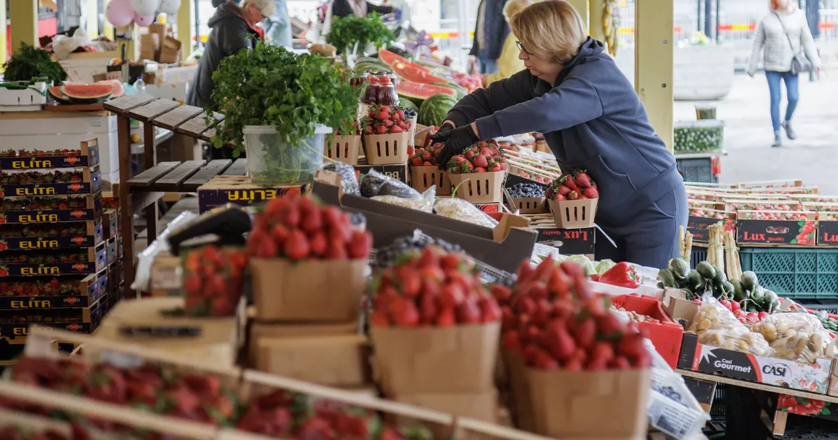FOTOD JA VIDEO ⟩ Kevadekuulutajad kohal: Tallinna turgudel käib vilgas maasikaäri