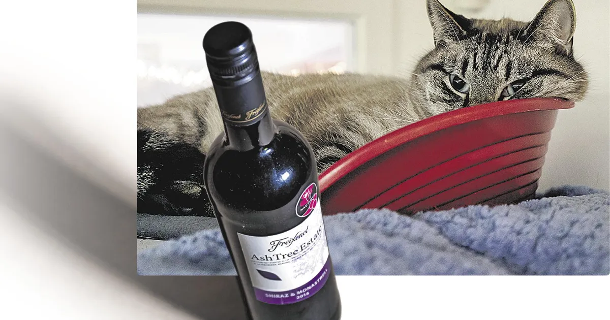 Juurikas. Kuidas ma uudis­himulik ja kaine olin