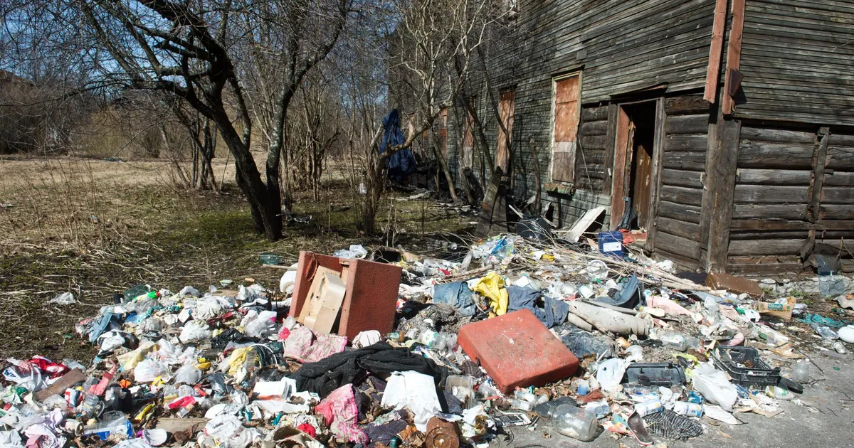 Juurikas. Brüssel nõuab: tehke Eesti korda!
