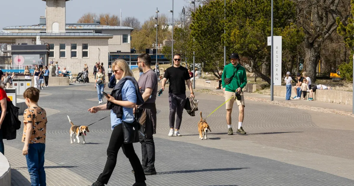 GALERII ⟩ Soe ilm meelitas inimesed randa