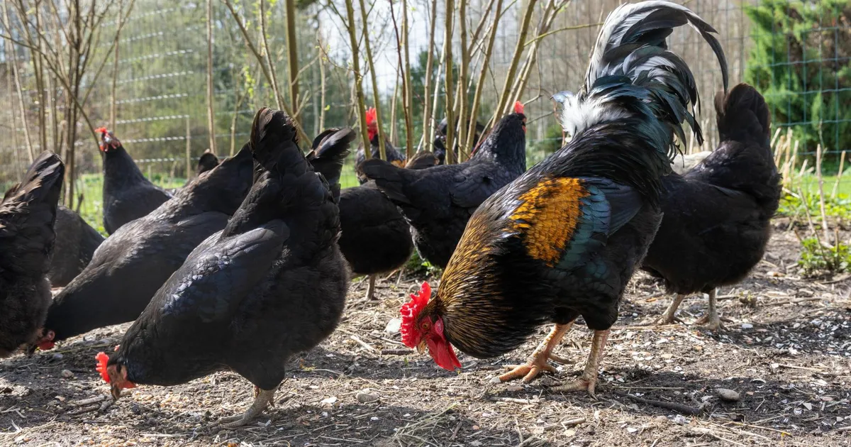 PÄEVA PILT ⟩ Päevakangelased