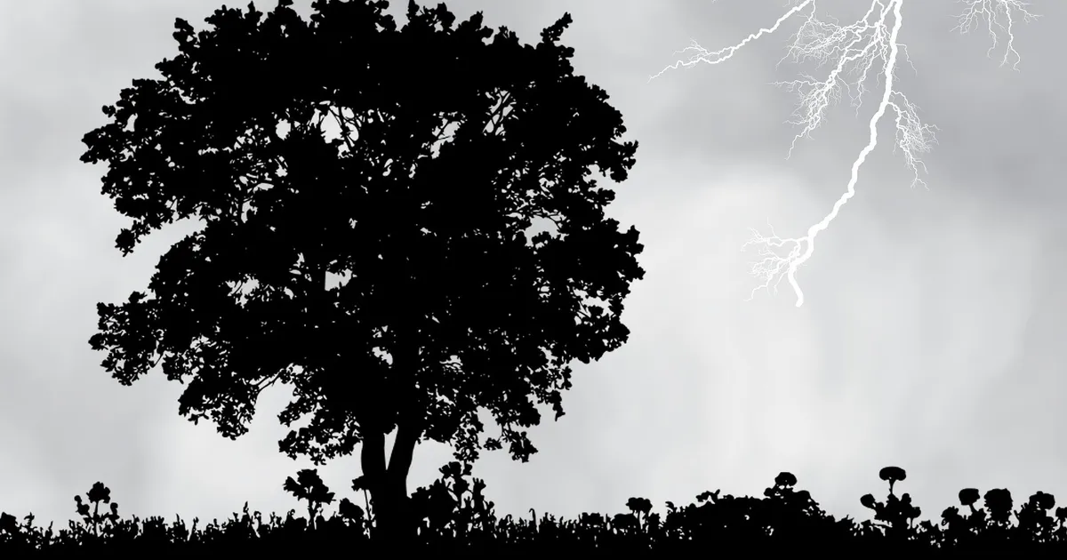 Teadlasi hämmastab puu, mis kasutab elektrit oma vaenlaste hävitamiseks