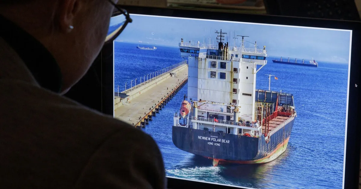 NewNew Polar Bear pandi Panama lipu alla