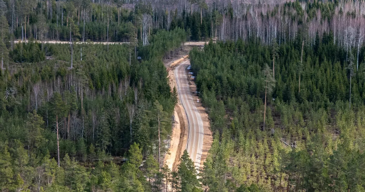 Metsafirma sai riigilt maadevahetusega varjatud boonuseid