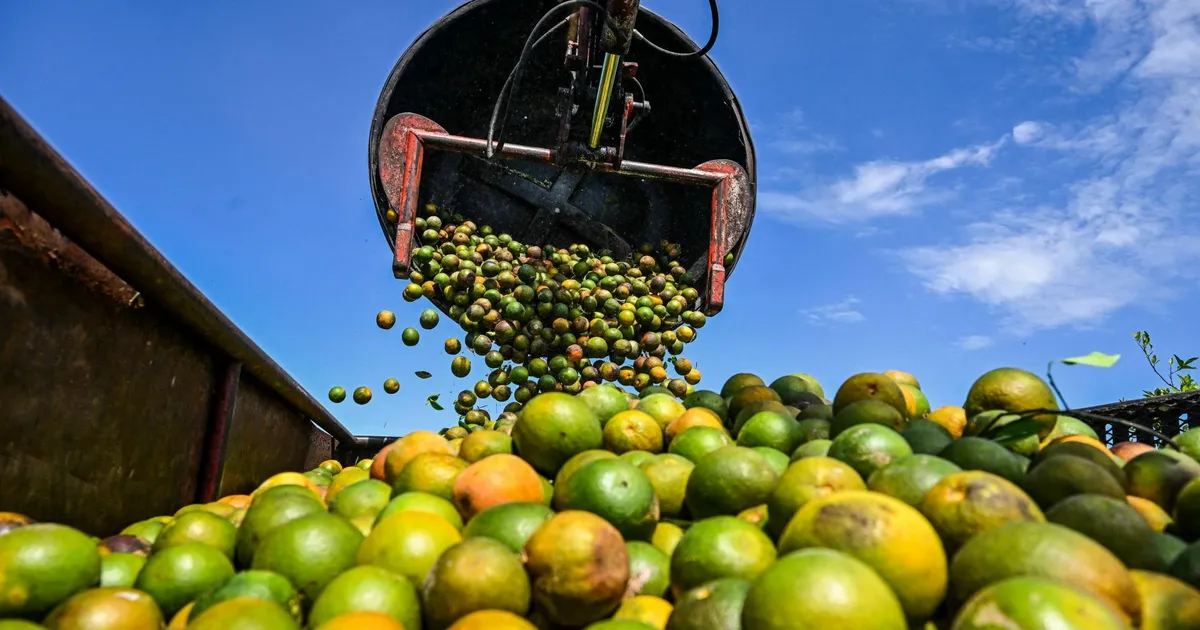 Apelsinimahla hinna kukkumist peab Eestis veel ootama