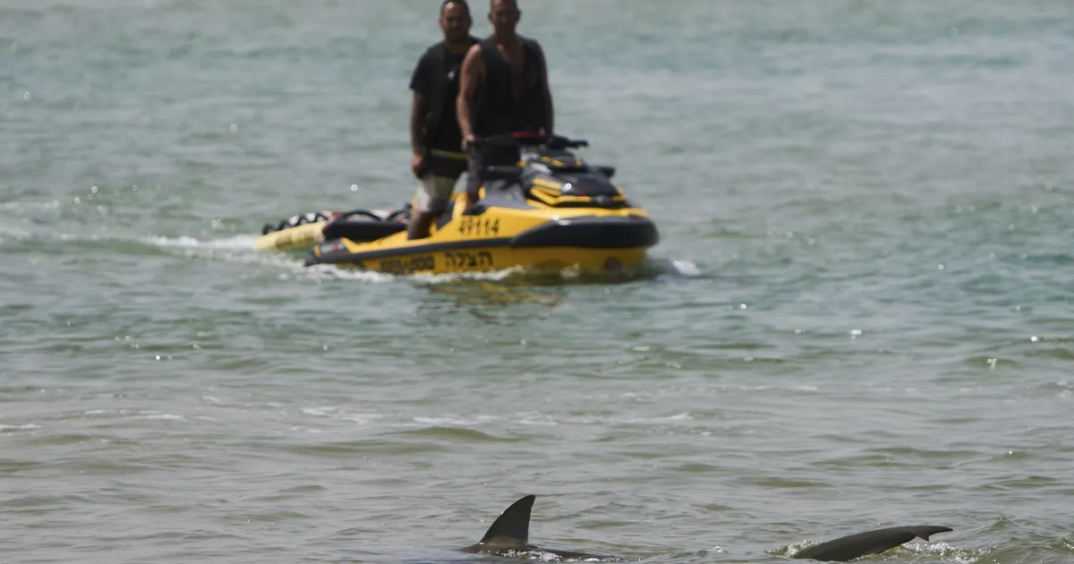 ÕÕVASTAV VIDEO ⟩ Haid puresid Iisraelis kalda ääres ujunud meest, kes jäi teadmata kadunuks: ta upub, keegi ei tule teda päästma!