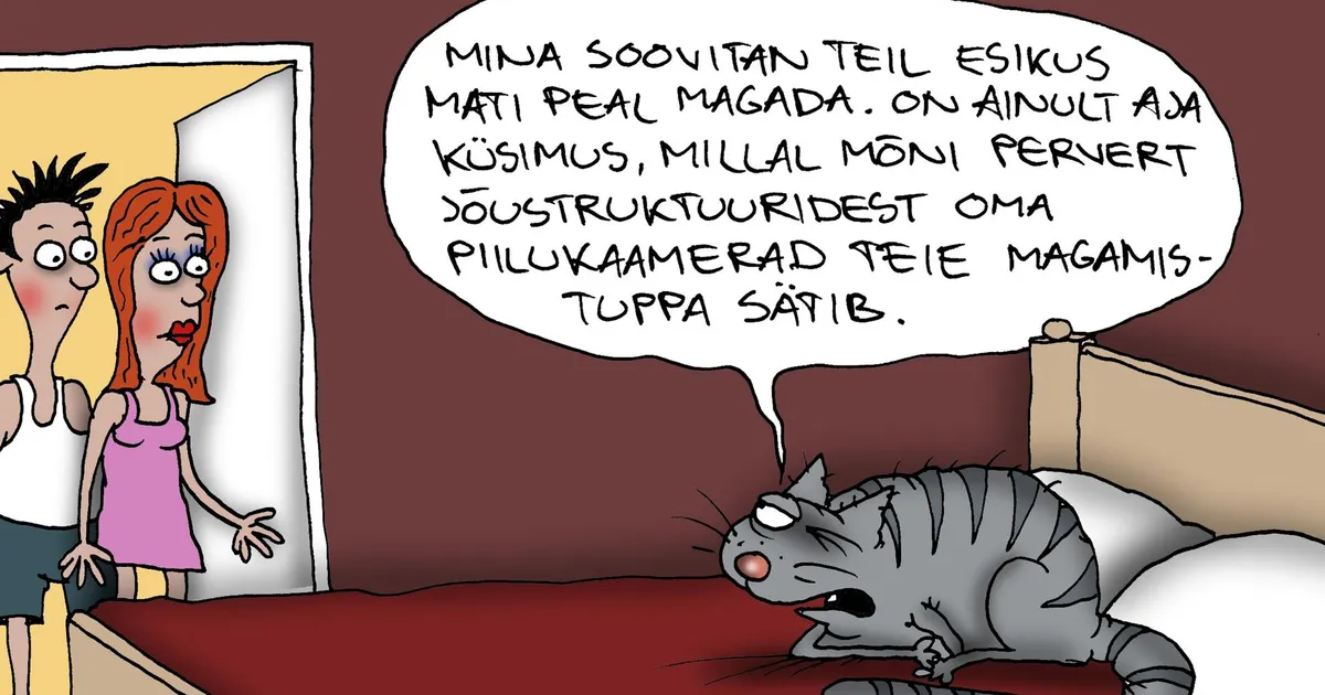 JUHTKIRI ⟩ Meid jälgivad piilukaamerad