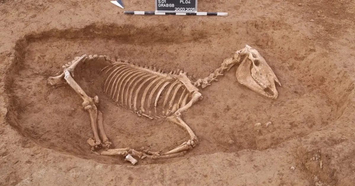 Arheoloogid leidsid kummalise Rooma-aegse surnuaia – loe, kes sinna maetud on