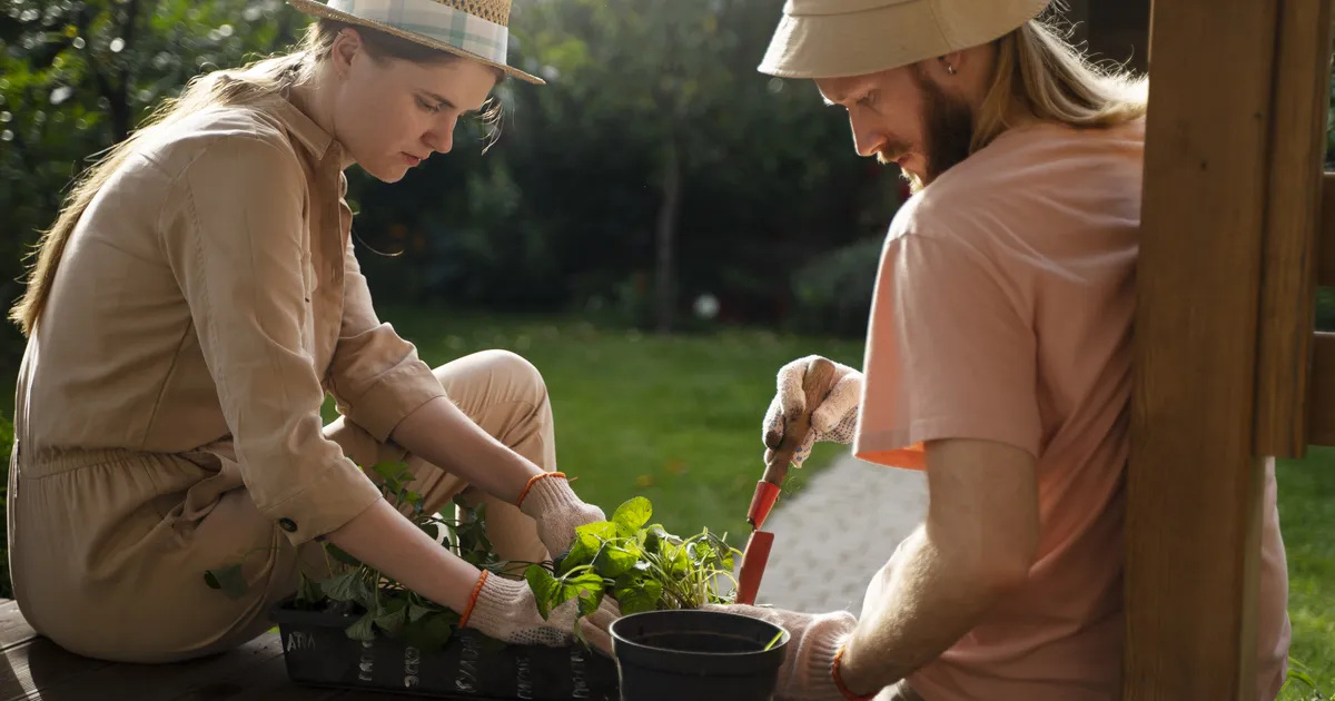 Nad on kui minu lapsed... ⟩ Uuringud näitavad nelja tüüpi toataimede omanikke. Kes sa oled?