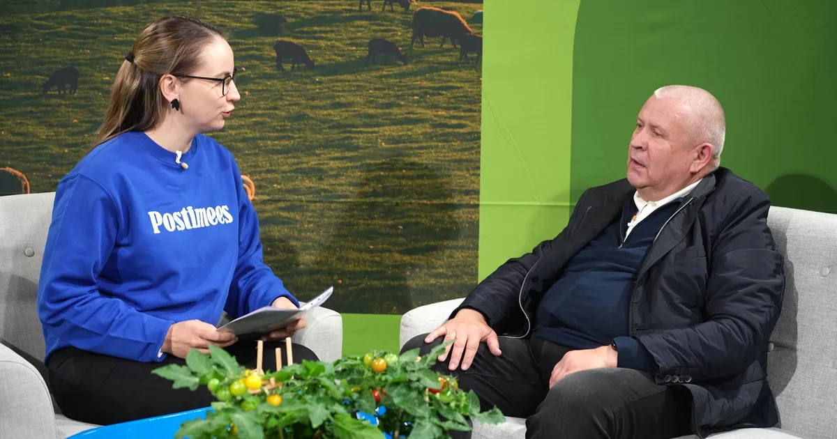 VIDEO ⟩ Alo Pettai: kokkulepe linnaga võimaldas messiala laiendada