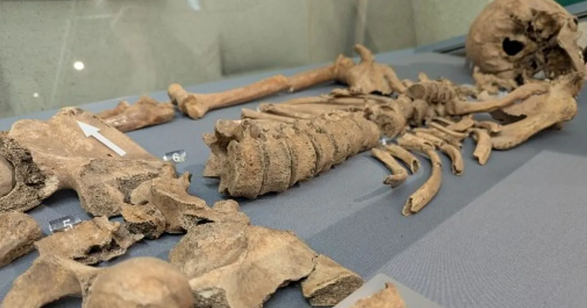 LEID PÕLLULT ⟩ Kihvajälgedega gladiaatori luustik hämmastab Briti arheolooge