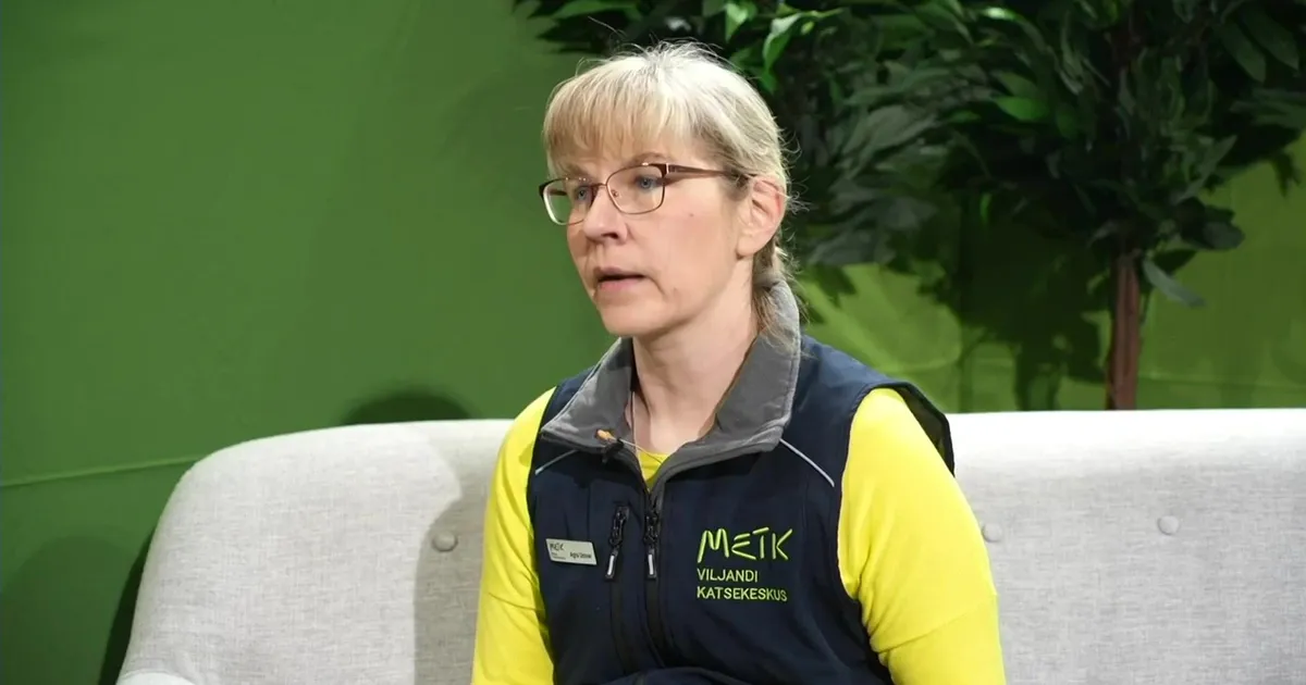 VIDEO ⟩ Pehme talv säästis taimi, kuid tõi haigused lähemale