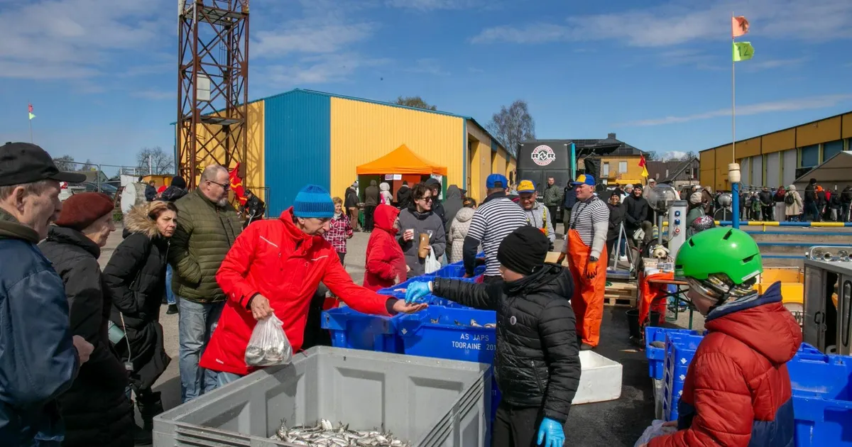 Galerii ⟩ Avatud kalasadamate päeval täitusid ämbrid värske merehõbedaga
