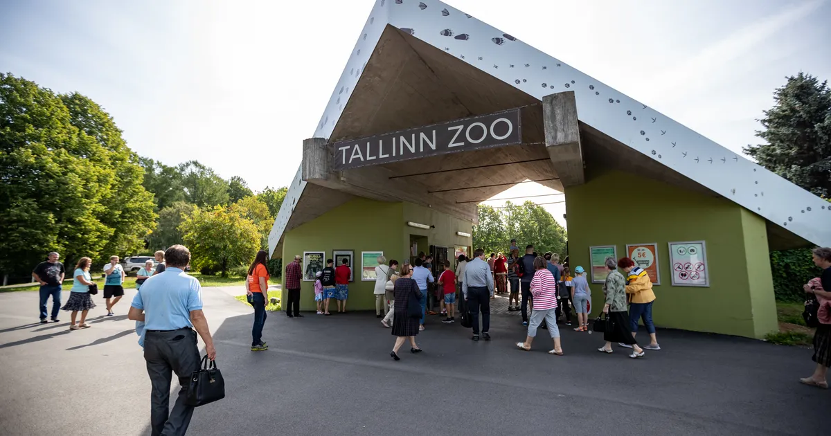 OOTAMATU ⟩ Tallinna loomaaia territooriumilt püüti kinni ohtlik metsloom