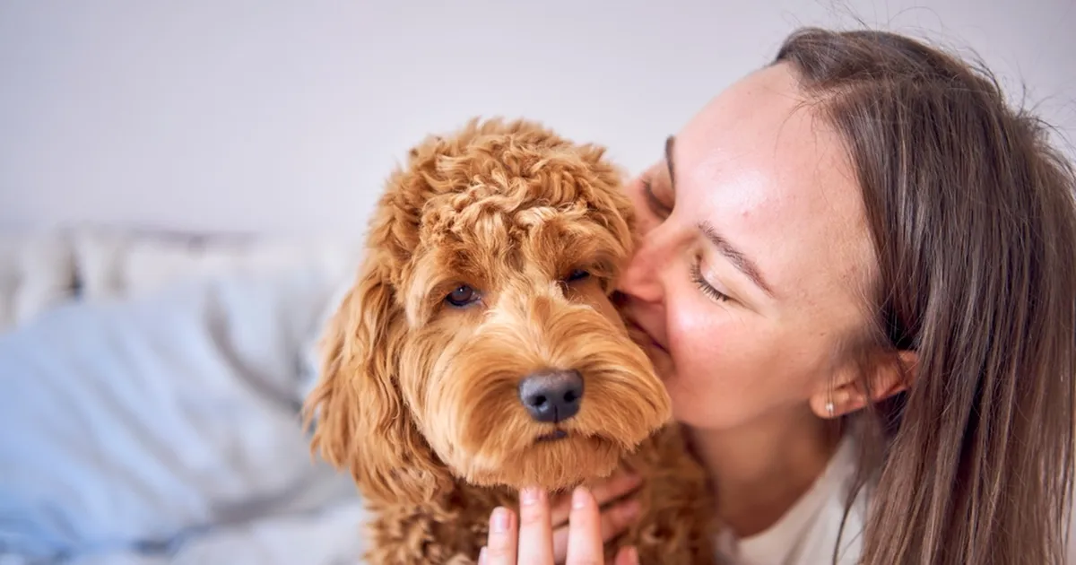 «Ta teadis seda kogu aeg. Enne mind. Enne arste.» Koer päästis perenaise elu