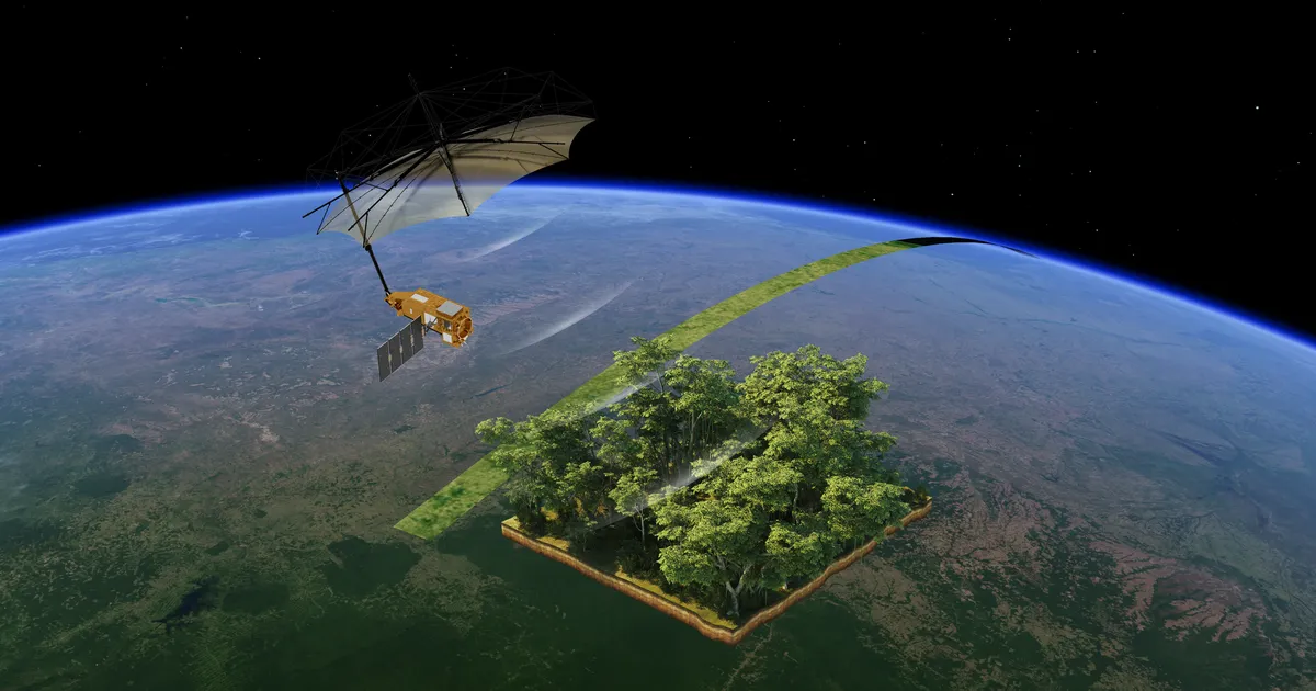 Uus Euroopa tehiskaaslane suudab näha ka läbi puuvõrade metsa alla