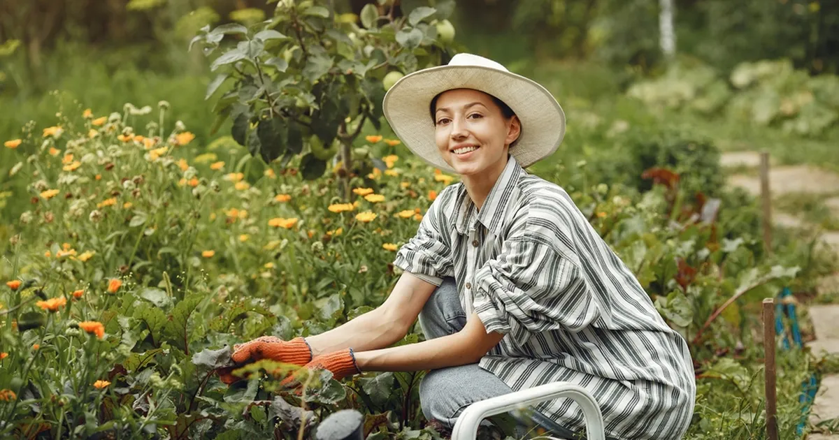 JÄTA MEELDE ⟩ Need 5 taime tuleks õunapuust võimalikult kaugele istutada