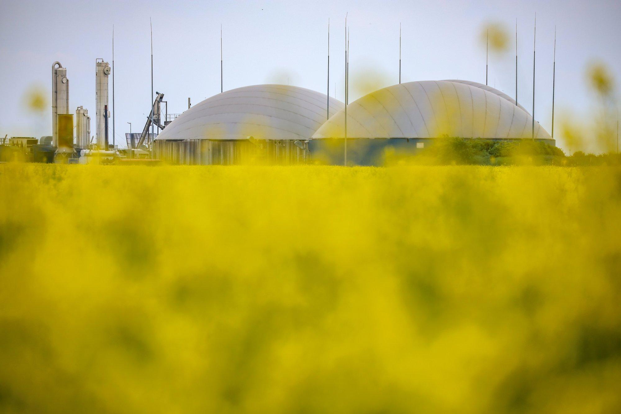 Eesti on rohegaasi turule toomisel Euroopas tublide seas, aga probleeme on siiski omajagu