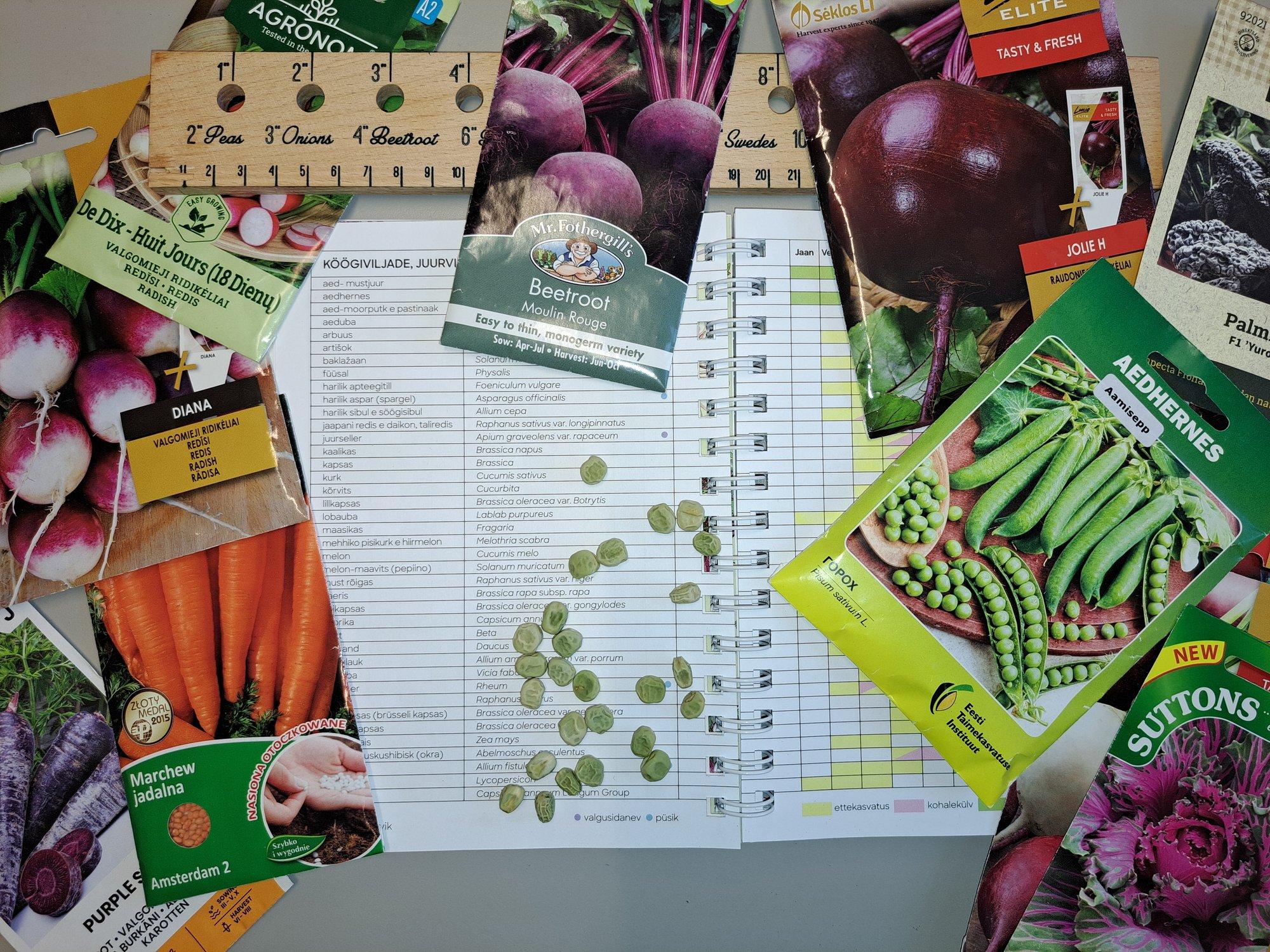 Köögiviljade ja juurviljade külvitabel ette kasvatamiseks ja peenrale külvamiseks. Lisatud Thuni kalender