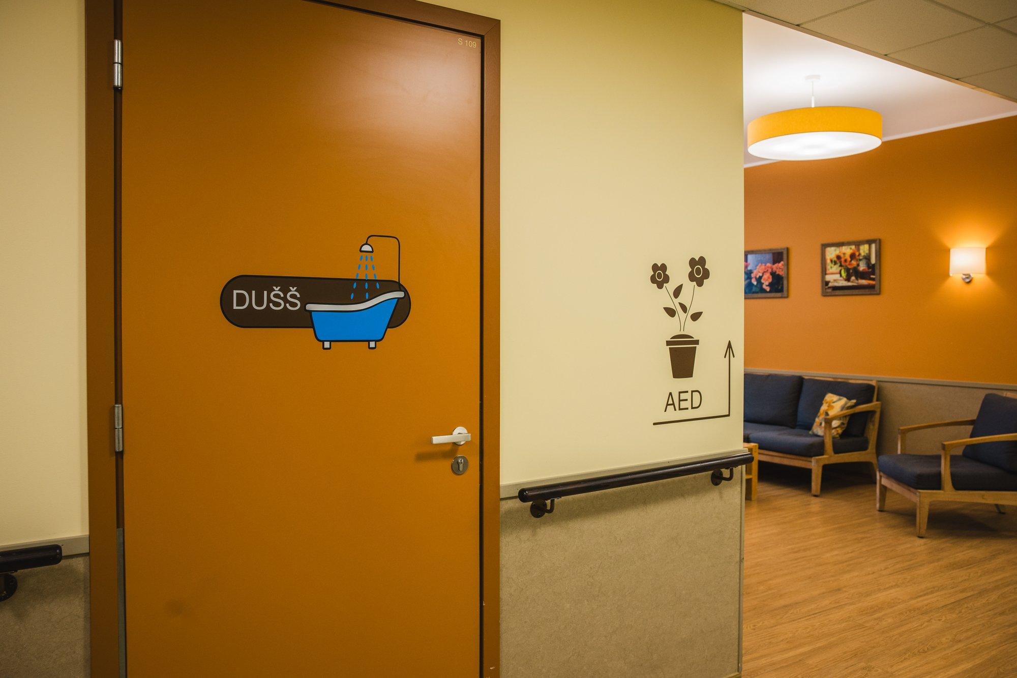 Seidi Soini-Lillipuu: kurb argipäev, kus sõnastikud soovitavad kasutada dementsusega inimese kohta „nõdra- või poolemeelne“