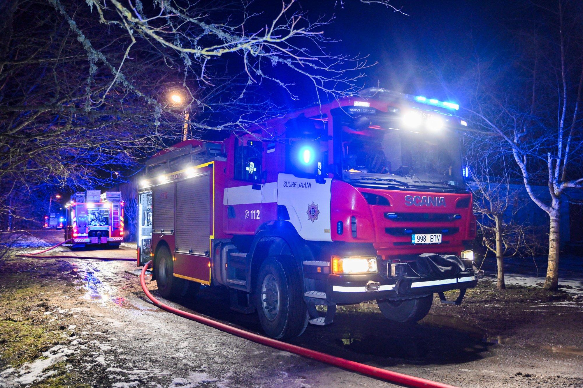 Sindis elumaja süüdanud kass sai koos koeraga põlengus surma