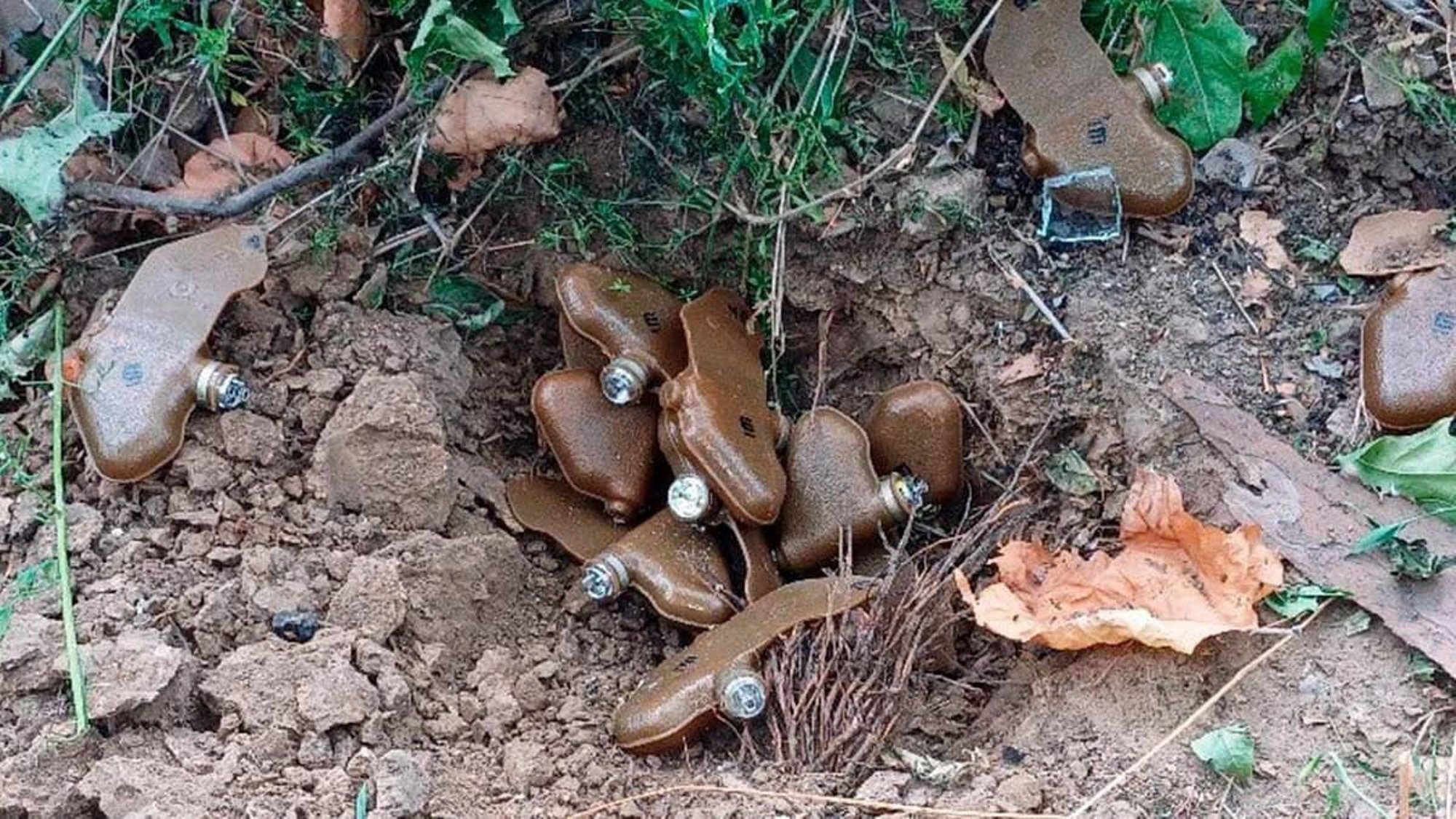 Valitsus toetas Eesti lahkumist Ottawa konventsioonist