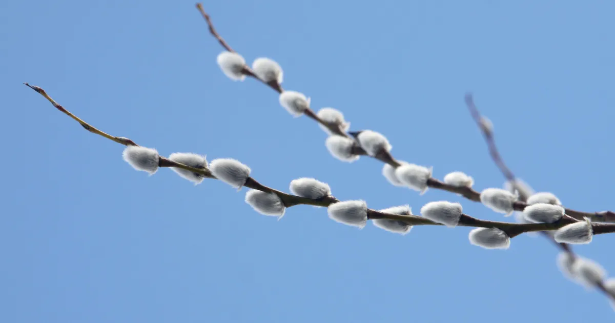 Teisipäeval tuleb kuni 19 kraadi sooja