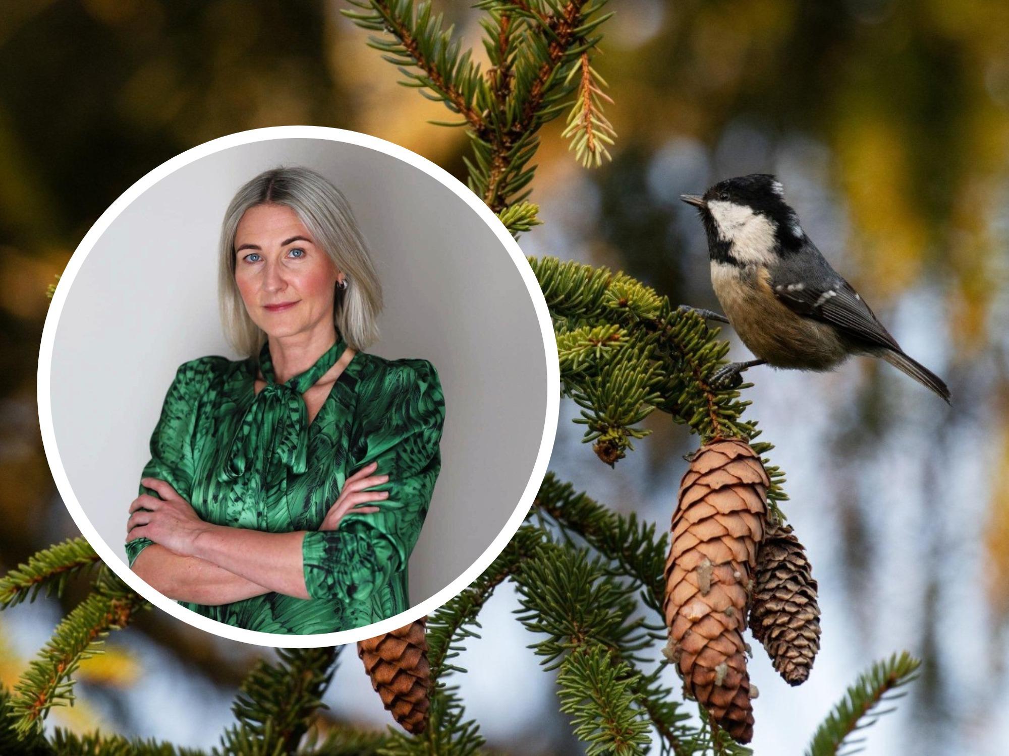 Külli Tammur: roosad pesakastid on suur murekoht! Ettevõtete geriljaturunduse tagajärgede eest maksavad linnud ja loodus