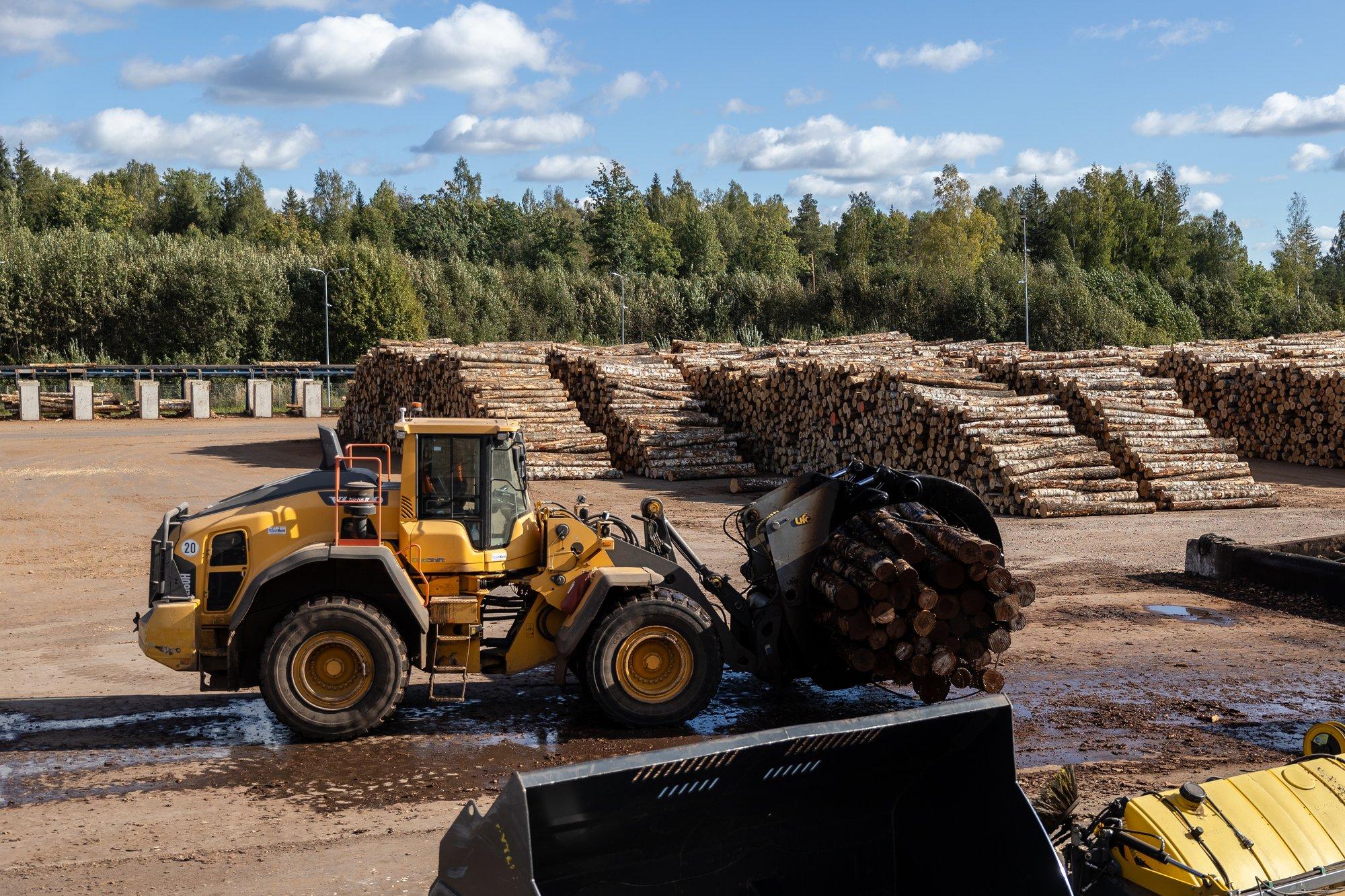 Laura Uibopuu: oleme saamas metsariigist võsariigiks