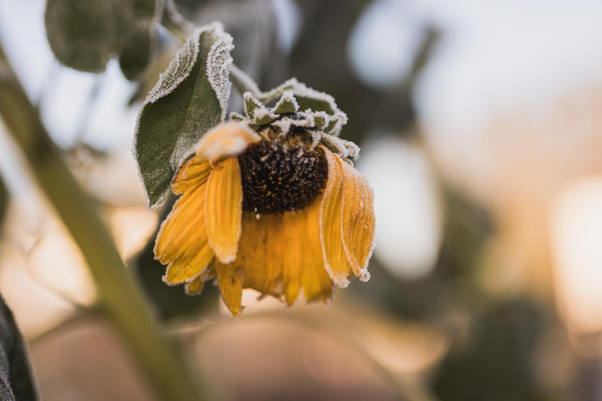 ILMATEADE | Transpordiamet hoiatab: mitmel pool Eestis on teedel musta jää oht