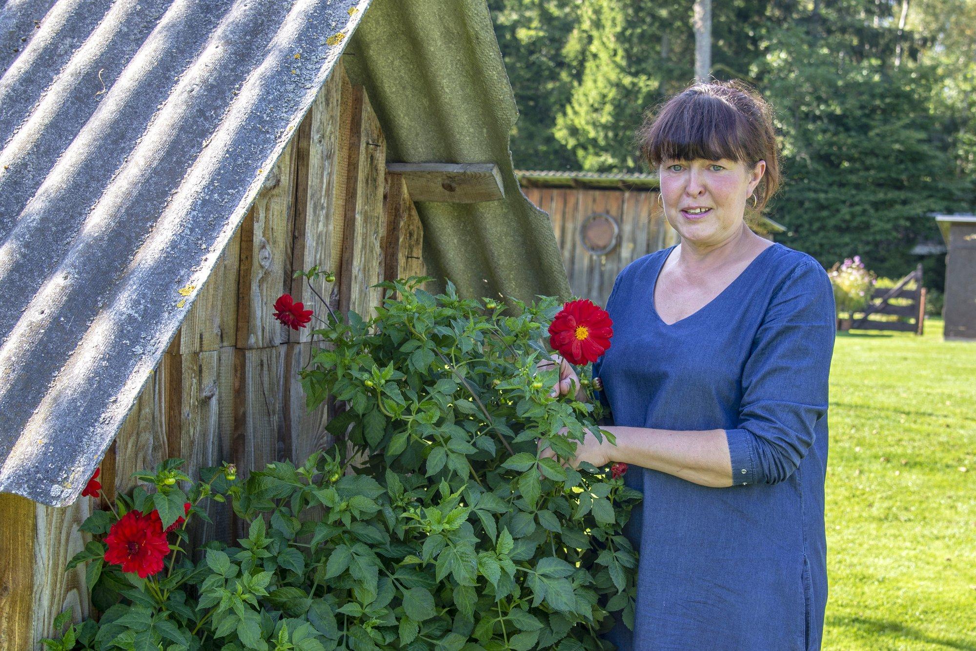 Saaremaal asuva Herma talu isemoodi aed sündis loomingulisest taaskasutusest