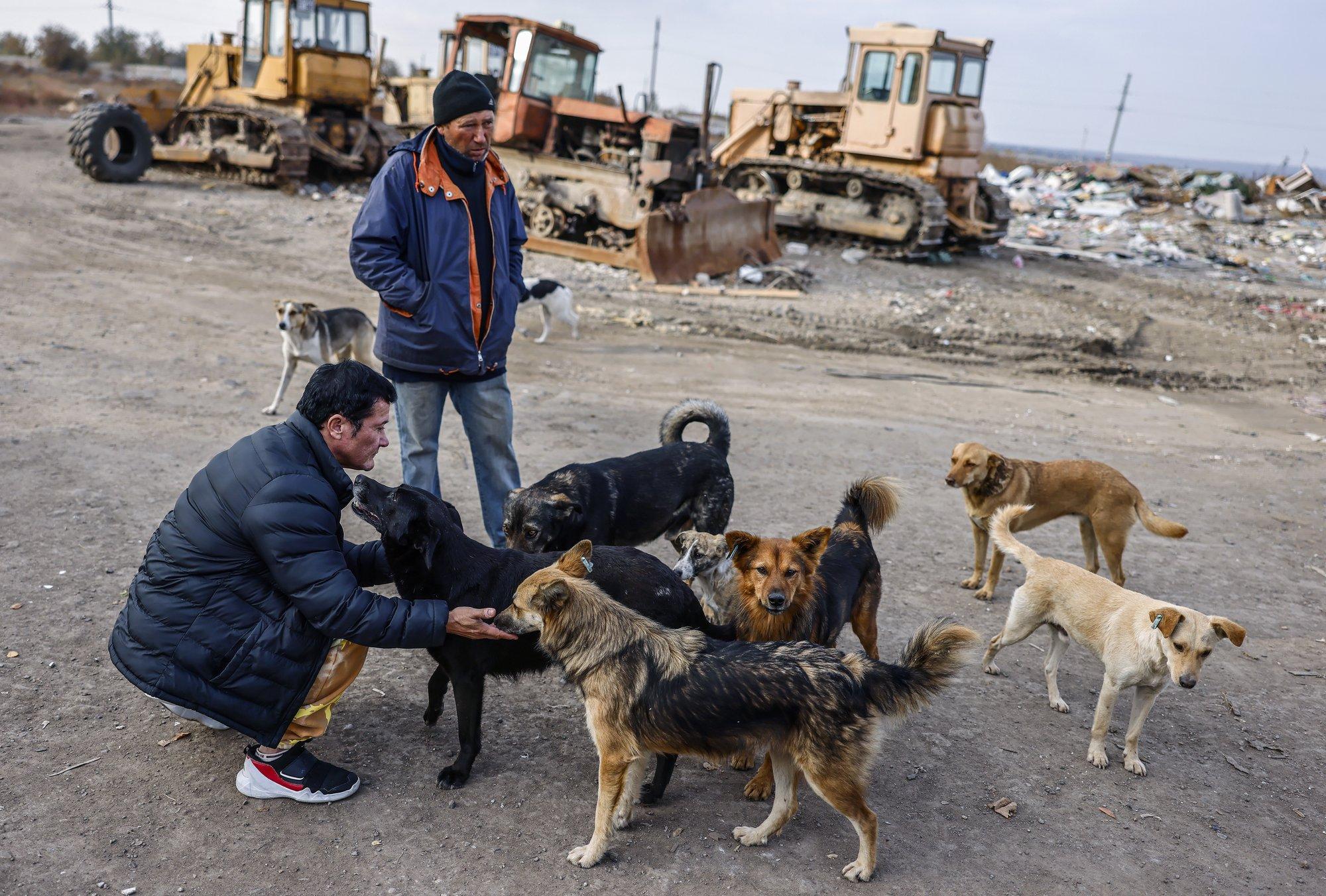 „Venelased korraldavad okupeeritud külades safareid.“ Maailma tugevaim naine on pühendunud loomade päästmisele