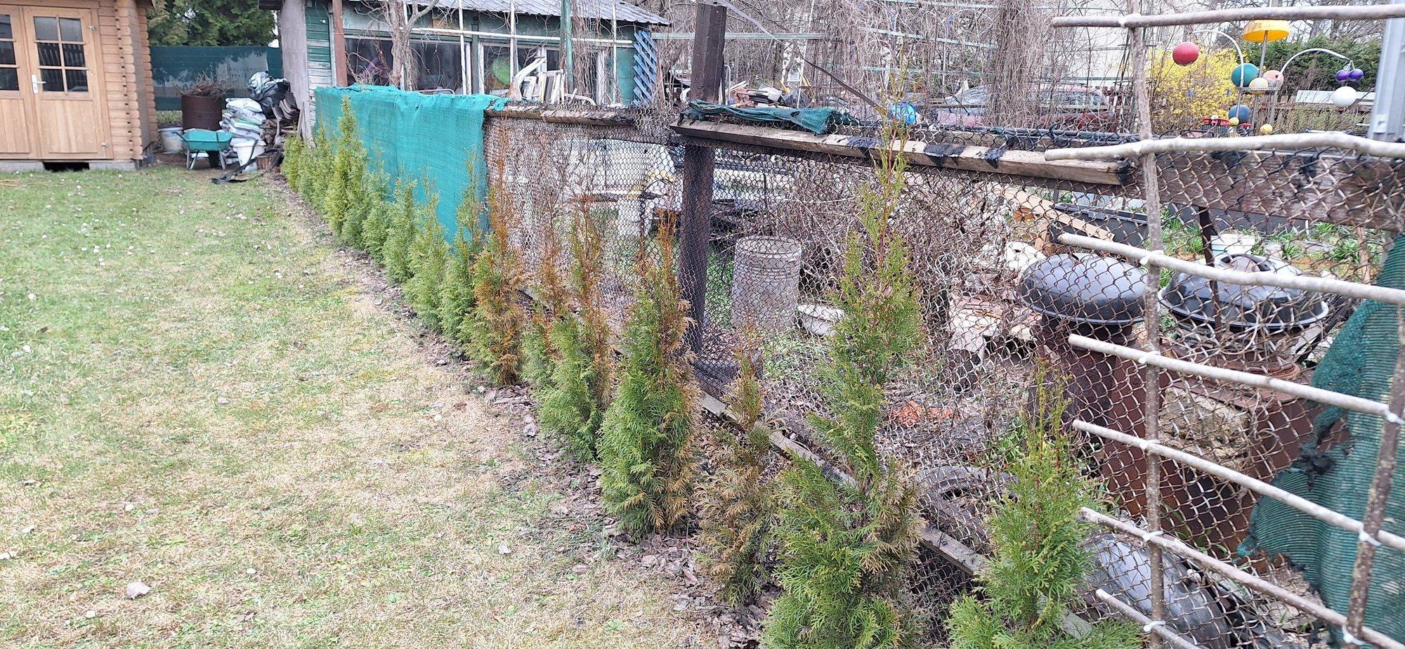 Lõke, mis võinuks hävitada terve naabruskonna: Harku elanik võitleb naabriga, kes süütas tema aia