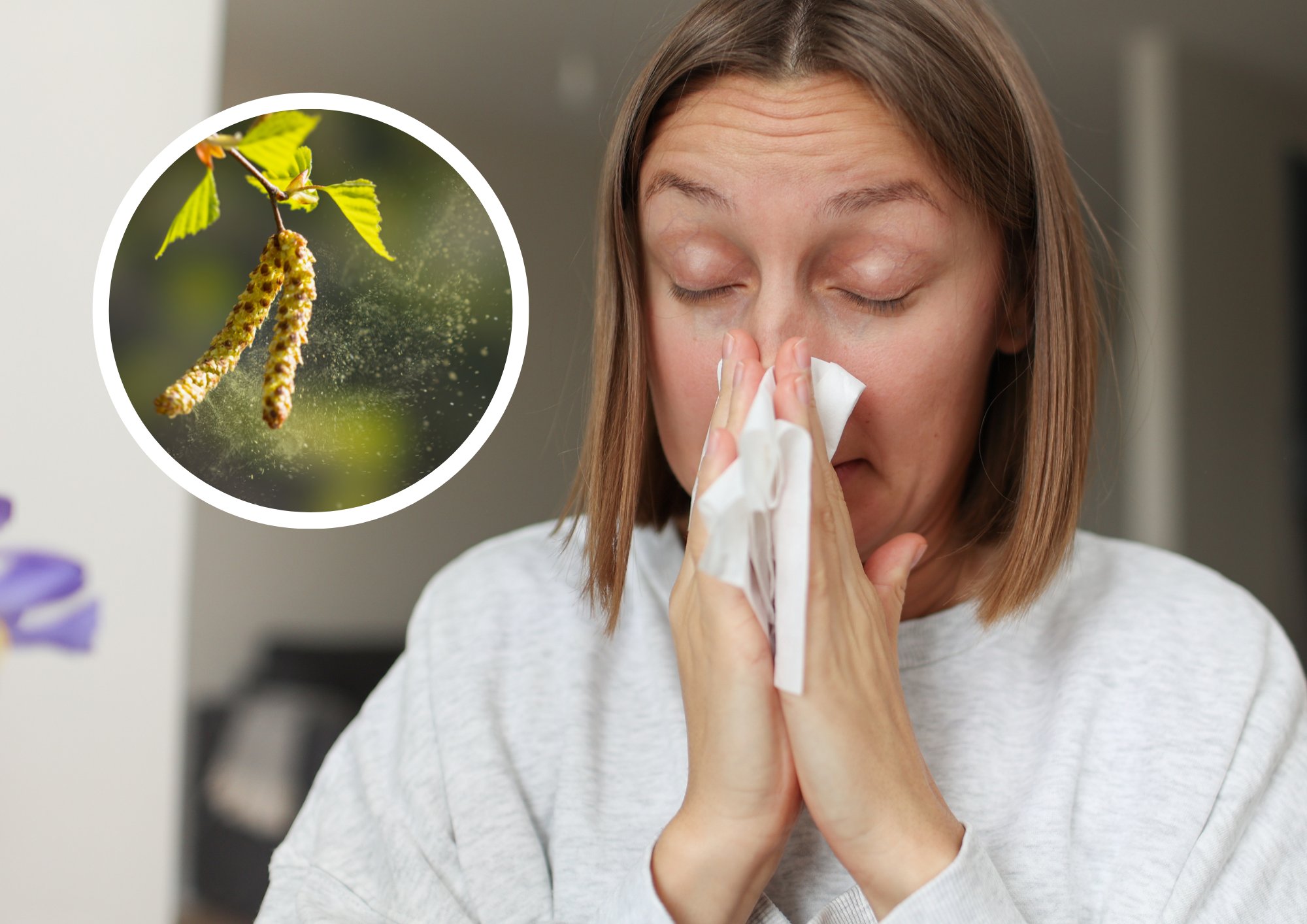 Apteeker: eriti tugevalt võivad õietolmuallergia sümptomid avalduda tuulise ja päikesepaistelise ilmaga. Kuidas allergiat ohjeldada?